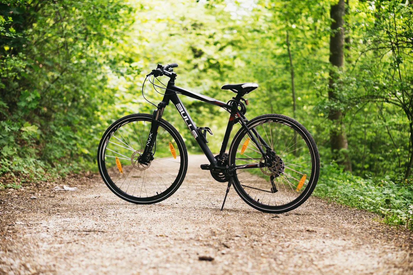 Cykel på en grusvej i skoven